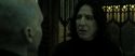 RdM2-Potterish_07807.jpg