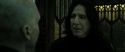 RdM2-Potterish_07808.jpg