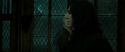 RdM2-Potterish_07829.jpg