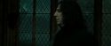 RdM2-Potterish_07830.jpg