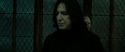 RdM2-Potterish_07832.jpg