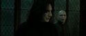 RdM2-Potterish_07833.jpg
