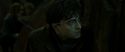 RdM2-Potterish_07836.jpg