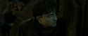 RdM2-Potterish_07837.jpg