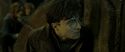 RdM2-Potterish_07839.jpg