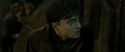 RdM2-Potterish_07841.jpg