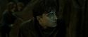 RdM2-Potterish_07842.jpg