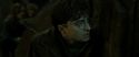 RdM2-Potterish_07843.jpg