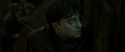 RdM2-Potterish_07844.jpg