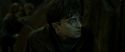 RdM2-Potterish_07845.jpg