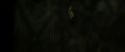 RdM2-Potterish_07847.jpg