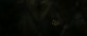 RdM2-Potterish_07859.jpg