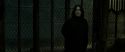 RdM2-Potterish_07861.jpg