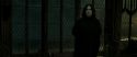 RdM2-Potterish_07881.jpg