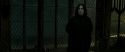 RdM2-Potterish_07882.jpg