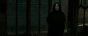 RdM2-Potterish_07885.jpg