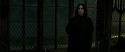 RdM2-Potterish_07886.jpg