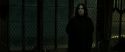 RdM2-Potterish_07887.jpg