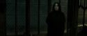 RdM2-Potterish_07888.jpg