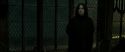 RdM2-Potterish_07889.jpg