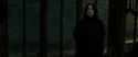 RdM2-Potterish_07892.jpg