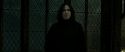RdM2-Potterish_07915.jpg