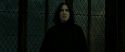 RdM2-Potterish_07920.jpg