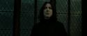 RdM2-Potterish_07927.jpg