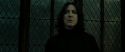 RdM2-Potterish_07929.jpg