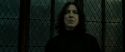 RdM2-Potterish_07930.jpg