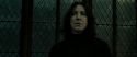 RdM2-Potterish_07931.jpg