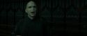 RdM2-Potterish_07936.jpg