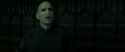 RdM2-Potterish_07941.jpg