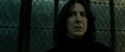 RdM2-Potterish_07948.jpg