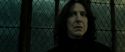RdM2-Potterish_07949.jpg