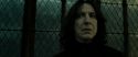 RdM2-Potterish_07950.jpg
