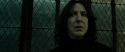 RdM2-Potterish_07951.jpg