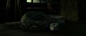 RdM2-Potterish_07968.jpg