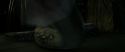 RdM2-Potterish_07969.jpg