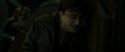 RdM2-Potterish_07983.jpg