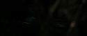 RdM2-Potterish_08008.jpg