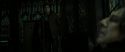 RdM2-Potterish_08037.jpg