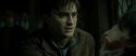 RdM2-Potterish_08071.jpg