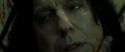 RdM2-Potterish_08074.jpg
