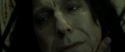 RdM2-Potterish_08082.jpg