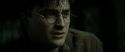 RdM2-Potterish_08083.jpg