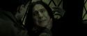 RdM2-Potterish_08089.jpg
