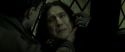 RdM2-Potterish_08093.jpg