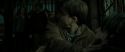 RdM2-Potterish_08097.jpg