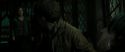 RdM2-Potterish_08100.jpg